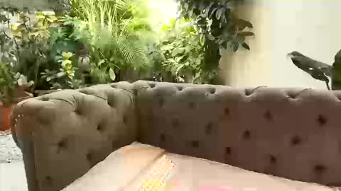 S T A C Y online show from September 2025 01:22:01 PM