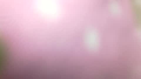 Snapshot of rhymes2479 chatting on January 2025 10:56:02 PM Shaved cock ready online show from January 2025 10:56:02 PM