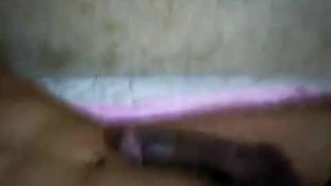 Snapshot of rica1234567890961640 chatting on October 2025 05:19:02 AM rica1234567890961640 online show from October 2025 05:19:02 AM