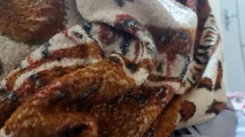 ricard440 online show from January 2025 01:16:02 PM