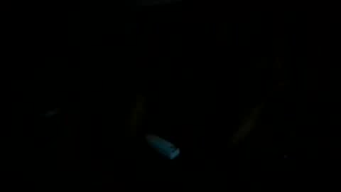 Snapshot of ricardll chatting on May 2026 01:18:02 PM ricardll online show from May 2026 01:18:02 PM
