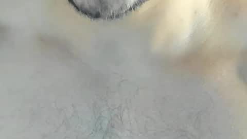 ricardogonzalez666 online show from December 2024 04:24:01 AM