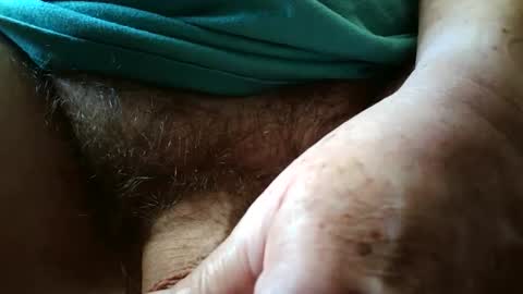 Always crusing cams online show from September 2025 05:14:01 PM