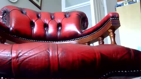 Ridgepole online show from November 2025 10:15:02 AM