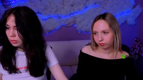 Meow online show from March 2026 08:36:02 PM