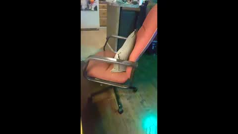 ripchoo online show from January 2026 01:41:02 AM