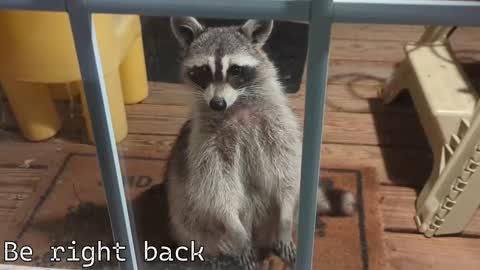 Ryan aka KeylimeRy online show from December 2025 07:33:02 PM