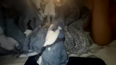 Snapshot of roarmance1 chatting on October 2025 05:35:01 PM roarmance1 online show from October 2025 05:35:01 PM