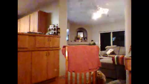 robo0000 online show from November 2025 01:06:01 AM