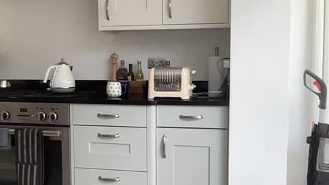 Robs sensuous cam for discerning ladies online show from September 2025 11:10:01 AM