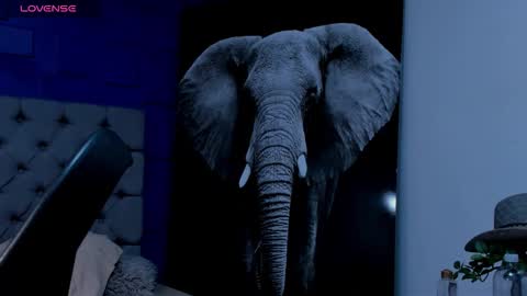 rocco_santos online show from September 2025 07:10:01 AM