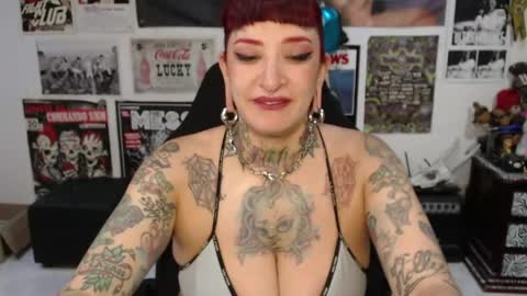 Snapshot of rollyderolandia666 chatting on June 2026 08:59:02 PM Rolly online show from June 2026 08:59:02 PM
