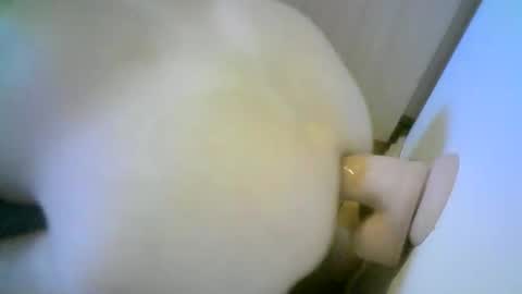 Snapshot of romson998181 chatting on November 2025 08:27:02 AM romson998181 online show from November 2025 08:27:02 AM