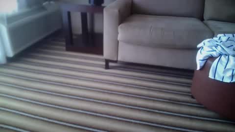 ronin098 online show from May 2026 05:41:01 PM