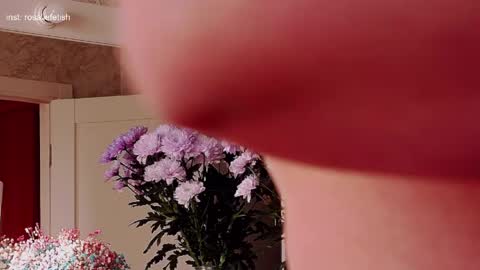 Rosalie online show from March 2026 03:41:02 AM