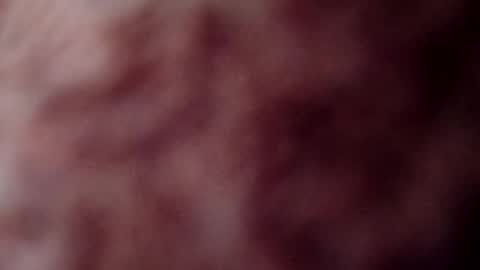 Snapshot of rose12161216 chatting on November 2025 03:13:02 PM rose12161216 online show from November 2025 03:13:02 PM