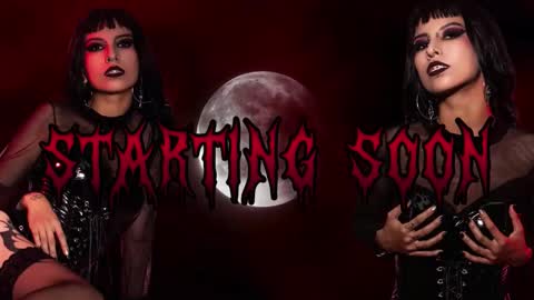 Ally online show from February 2026 08:16:01 PM