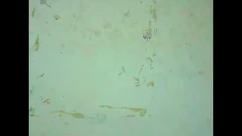 rosie6601 online show from March 2026 08:19:01 AM