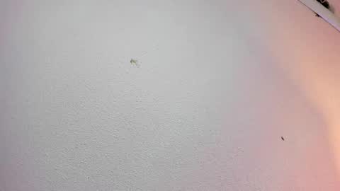 rosie_jhons online show from February 2025 03:21:02 AM