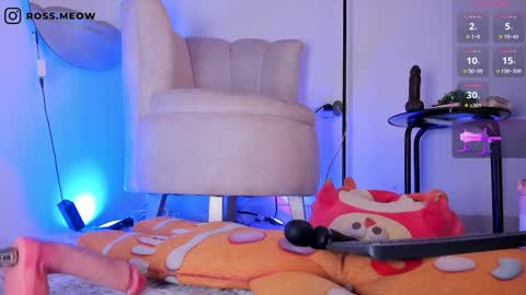 ross_meow online show from March 2026 11:23:02 PM