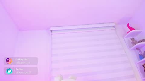   online show from February 2025 11:18:02 AM