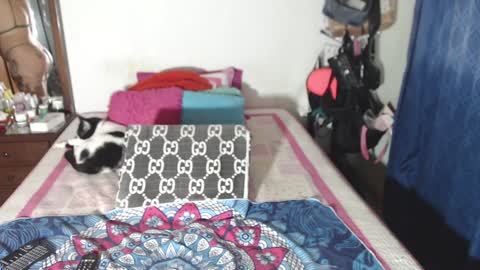 rousse online show from December 2024 02:49:02 AM