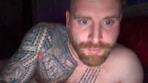 Snapshot of royalpain420 chatting on April 2026 03:34:02 AM Royal Menace online show from April 2026 03:34:02 AM