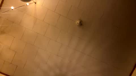 rp131313 online show from January 2026 04:25:01 AM