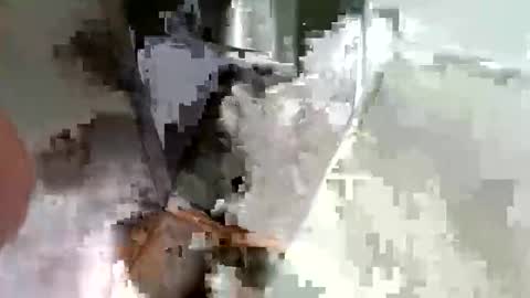 ryucravenmore online show from October 2025 03:35:02 PM