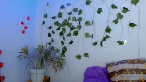 SABRI online show from February 2026 03:21:01 PM