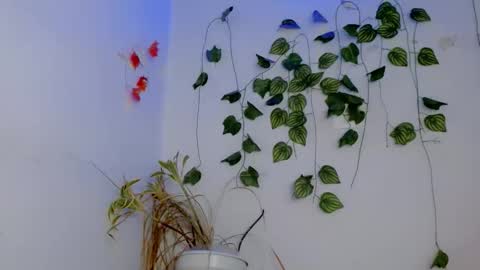 SABRI online show from April 2026 03:09:01 PM