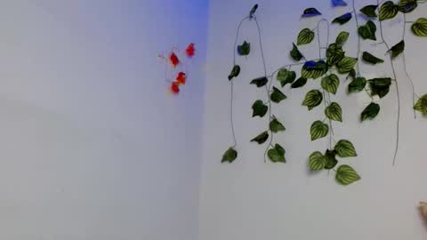 SABRI online show from April 2026 01:38:02 PM