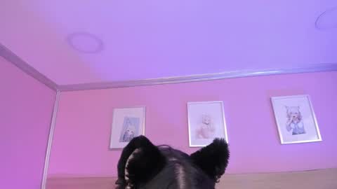 Ig  online show from February 2025 03:31:02 AM