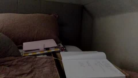 Snapshot of saggy888 chatting on September 2025 05:18:02 PM MistressLady online show from September 2025 05:18:02 PM