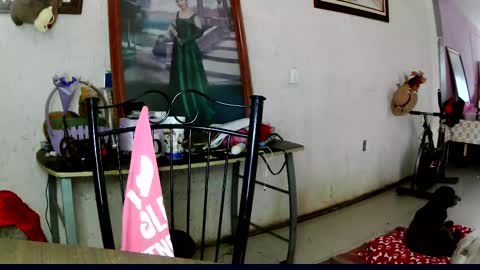 ruby  chocoholic cakeholic coffeeholic cookieholic online show from October 2025 10:42:01 PM