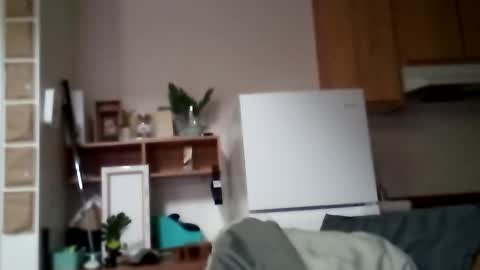 salis1981 online show from November 2025 06:08:02 PM