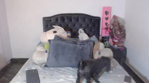 yenny online show from January 2026 03:21:01 AM