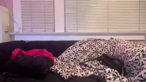 samanthafever online show from April 2026 02:38:01 AM