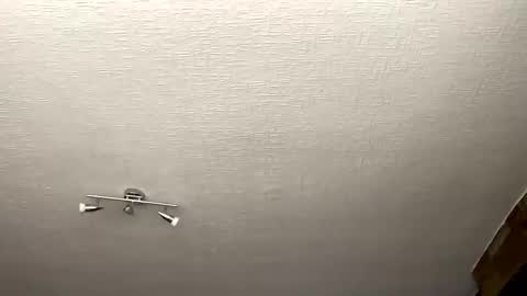 samegee online show from October 2025 07:25:02 AM