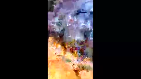 sameroptike67 online show from April 2026 12:35:01 AM