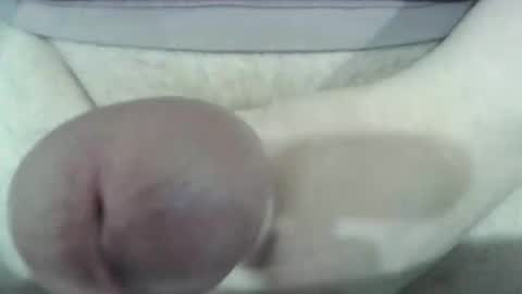 Sam online show from February 2026 12:08:02 PM