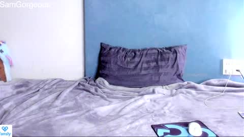 Snapshot of samgorgeous chatting on December 2024 10:18:01 AM Fansly - Top4fans online show from December 2024 10:18:01 AM