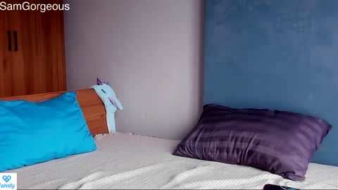 Snapshot of samgorgeous chatting on December 2024 06:17:02 AM Fansly - Top4fans online show from December 2024 06:17:02 AM