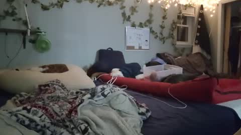 Sammy Time online show from February 2025 04:47:01 AM