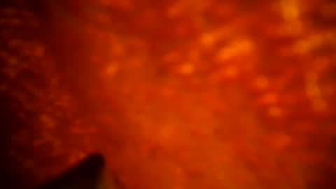 samueltal online show from September 2025 09:48:02 PM