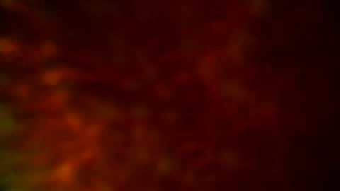 samueltal online show from September 2025 09:48:02 PM