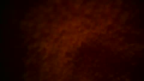 samueltal online show from December 2025 10:14:01 PM