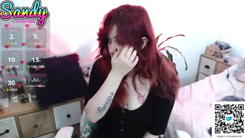 Sandy Prinss online show from February 2025 11:20:01 AM