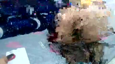 Sara love online show from February 2025 03:54:01 AM