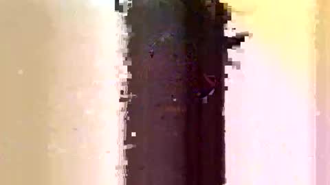 Snapshot of sara_muscle chatting on June 2026 03:10:02 AM Sara online show from June 2026 03:10:02 AM